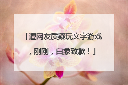 遭网友质疑玩文字游戏，刚刚，白象致歉！
