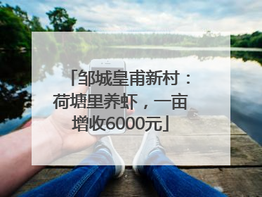 邹城皇甫新村：荷塘里养虾，一亩增收6000元