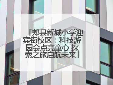 郏县新城小学迎宾街校区：科技游园会点亮童心 探索之旅启航未来