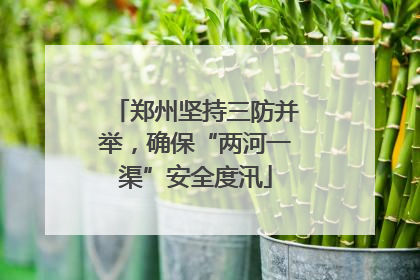郑州坚持三防并举，确保“两河一渠”安全度汛