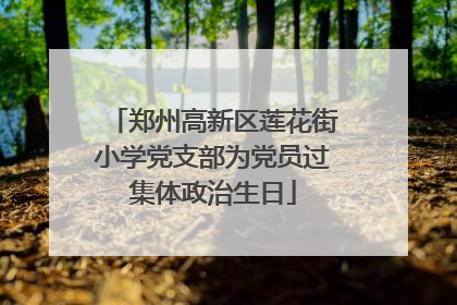 郑州高新区莲花街小学党支部为党员过集体政治生日