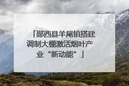 郧西县羊尾镇搭建调制大棚激活烟叶产业“新动能”