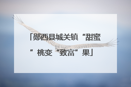 郧西县城关镇“甜蜜”桃变“致富”果