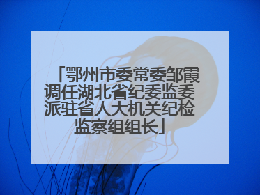 鄂州市委常委邹霞调任湖北省纪委监委派驻省人大机关纪检监察组组长
