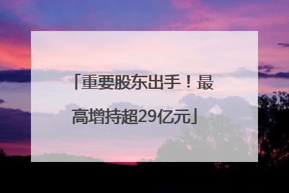 重要股东出手！最高增持超29亿元