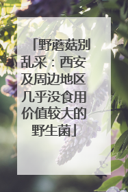 野蘑菇别乱采：西安及周边地区几乎没食用价值较大的野生菌