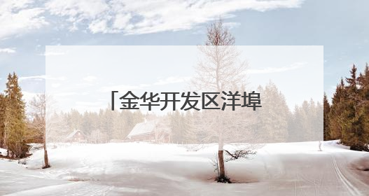 金华开发区洋埠镇：扎实开展汛期三普点巡查，筑牢安全生产防线