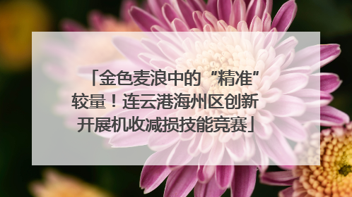 金色麦浪中的“精准”较量！连云港海州区创新开展机收减损技能竞赛