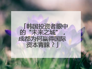 韩国投资者眼中的“未来之城”，成都为何赢得国际资本青睐？