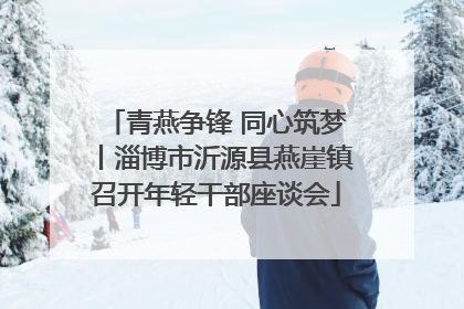 青燕争锋 同心筑梦丨淄博市沂源县燕崖镇召开年轻干部座谈会