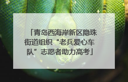青岛西海岸新区隐珠街道组织“老兵爱心车队”志愿者助力高考