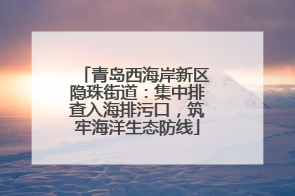 青岛西海岸新区隐珠街道：集中排查入海排污口，筑牢海洋生态防线