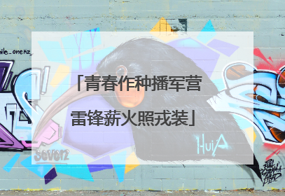 青春作种播军营 雷锋薪火照戎装