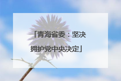 青海省委：坚决拥护党中央决定