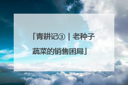青耕记③｜老种子蔬菜的销售困局