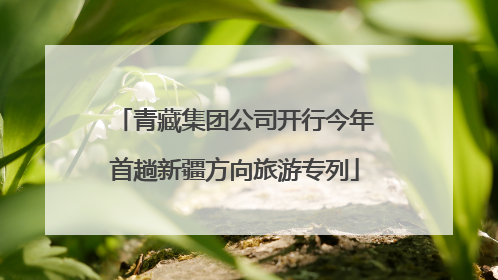 青藏集团公司开行今年首趟新疆方向旅游专列