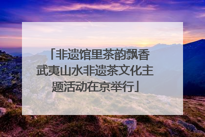 非遗馆里茶韵飘香 武夷山水非遗茶文化主题活动在京举行