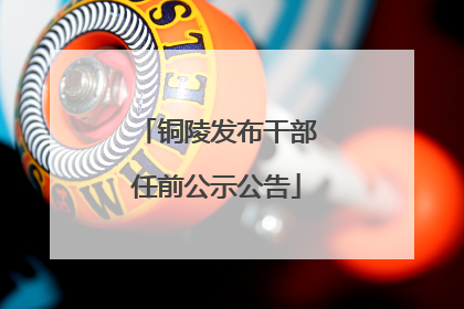 铜陵发布干部任前公示公告