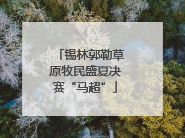 锡林郭勒草原牧民盛夏决赛“马超”