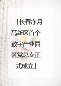 长春净月高新区首个数字产业园区党总支正式成立