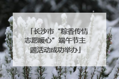 长沙市“粽香传情志愿暖心”端午节主题活动成功举办