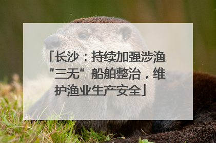 长沙：持续加强涉渔“三无”船舶整治，维护渔业生产安全