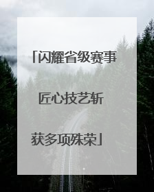 闪耀省级赛事  匠心技艺斩获多项殊荣