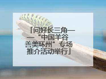 问好长三角——“中国羊谷 善美环州”专场推介活动举行