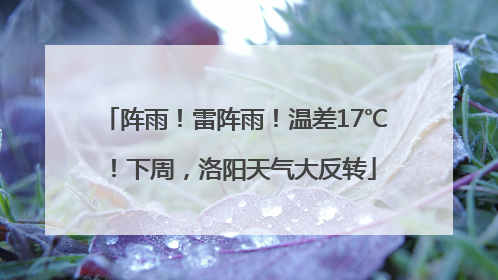 阵雨！雷阵雨！温差17℃！下周，洛阳天气大反转