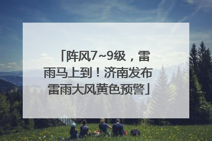 阵风7~9级，雷雨马上到！济南发布雷雨大风黄色预警