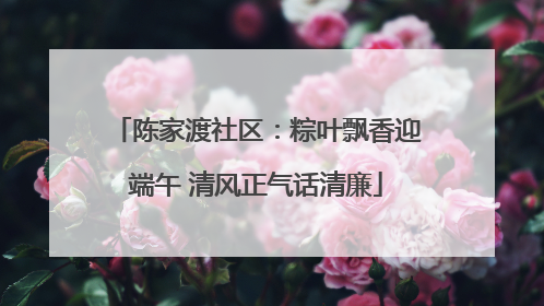 陈家渡社区：粽叶飘香迎端午 清风正气话清廉