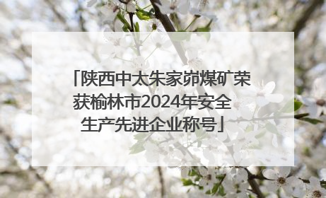 陕西中太朱家峁煤矿荣获榆林市2024年安全生产先进企业称号