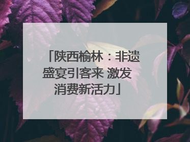 陕西榆林：非遗盛宴引客来 激发消费新活力