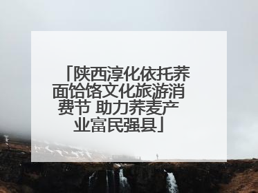 陕西淳化依托荞面饸饹文化旅游消费节 助力荞麦产业富民强县