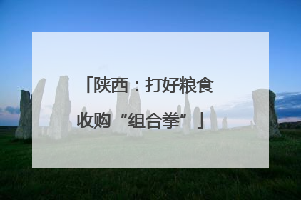 陕西：打好粮食收购“组合拳”