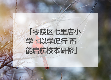 零陵区七里店小学：以学促行 蓄能启航校本研修