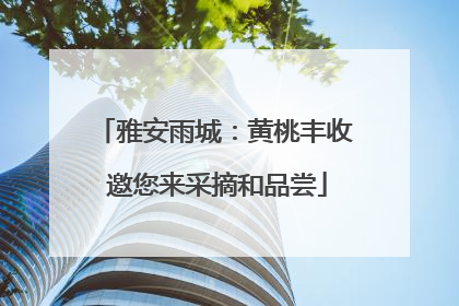 雅安雨城：黄桃丰收 邀您来采摘和品尝