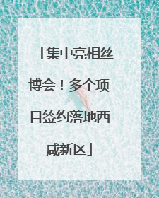 集中亮相丝博会！多个项目签约落地西咸新区