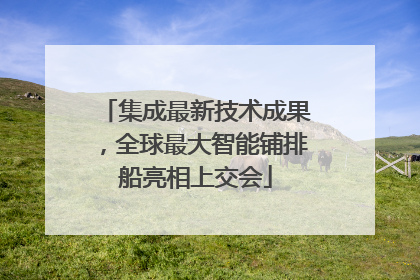集成最新技术成果，全球最大智能铺排船亮相上交会