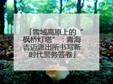 雪域高原上的“枫桥灯塔”：青海吉迈派出所书写新时代警务答卷