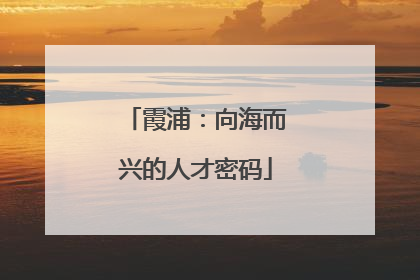 霞浦：向海而兴的人才密码