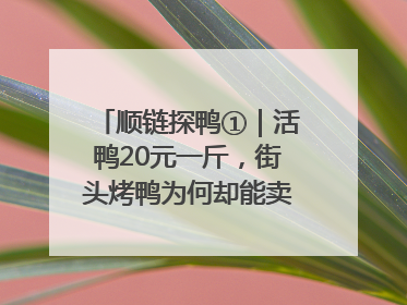 顺链探鸭①｜活鸭20元一斤，街头烤鸭为何却能卖到20多元一只