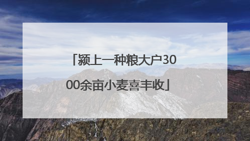 颍上一种粮大户3000余亩小麦喜丰收