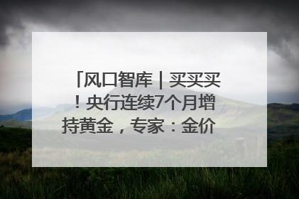 风口智库｜买买买！央行连续7个月增持黄金，专家：金价或仍易涨难跌