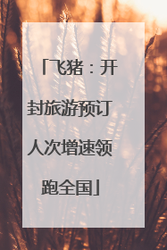 飞猪：开封旅游预订人次增速领跑全国