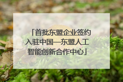 首批东盟企业签约入驻中国—东盟人工智能创新合作中心