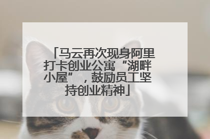 马云再次现身阿里打卡创业公寓“湖畔小屋”，鼓励员工坚持创业精神