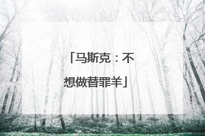 马斯克：不想做替罪羊