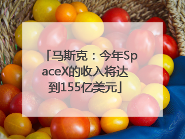 马斯克：今年SpaceX的收入将达到155亿美元