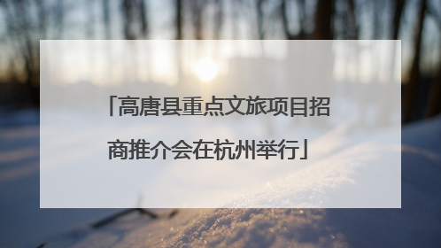 高唐县重点文旅项目招商推介会在杭州举行